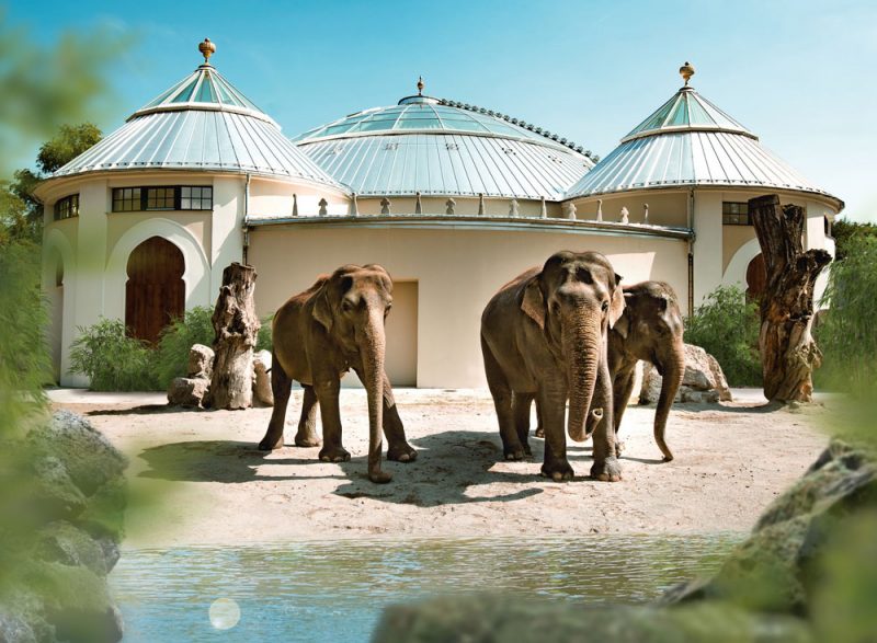 Elefantenhaus Tierpark Hellabrunn