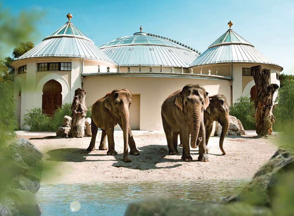 Elefantenhaus Tierpark Hellabrunn Elefantenhaus Tierpark Hellabrunn